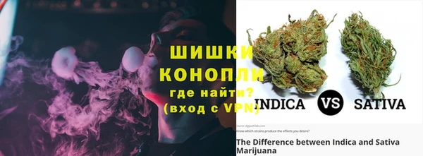 стаф Протвино