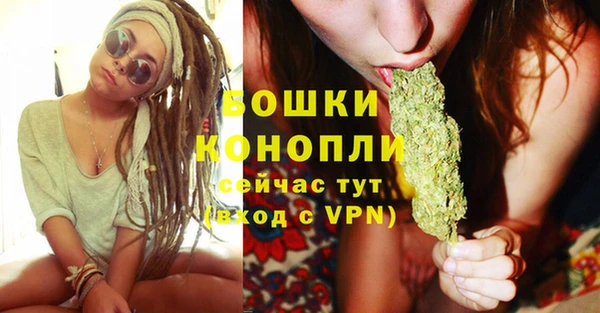 стаф Протвино