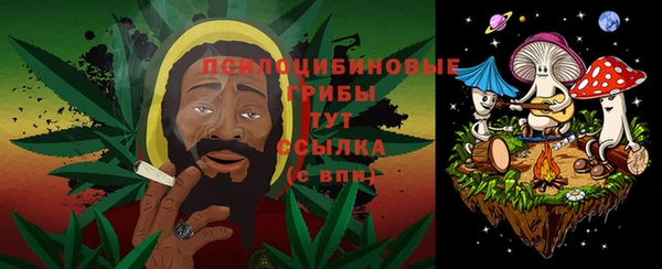 твердый Пролетарск