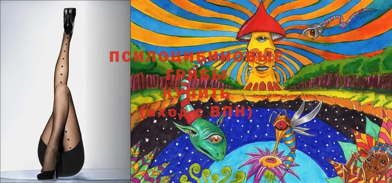 Псилоцибиновые грибы мухоморы  как найти наркотики  Абинск 