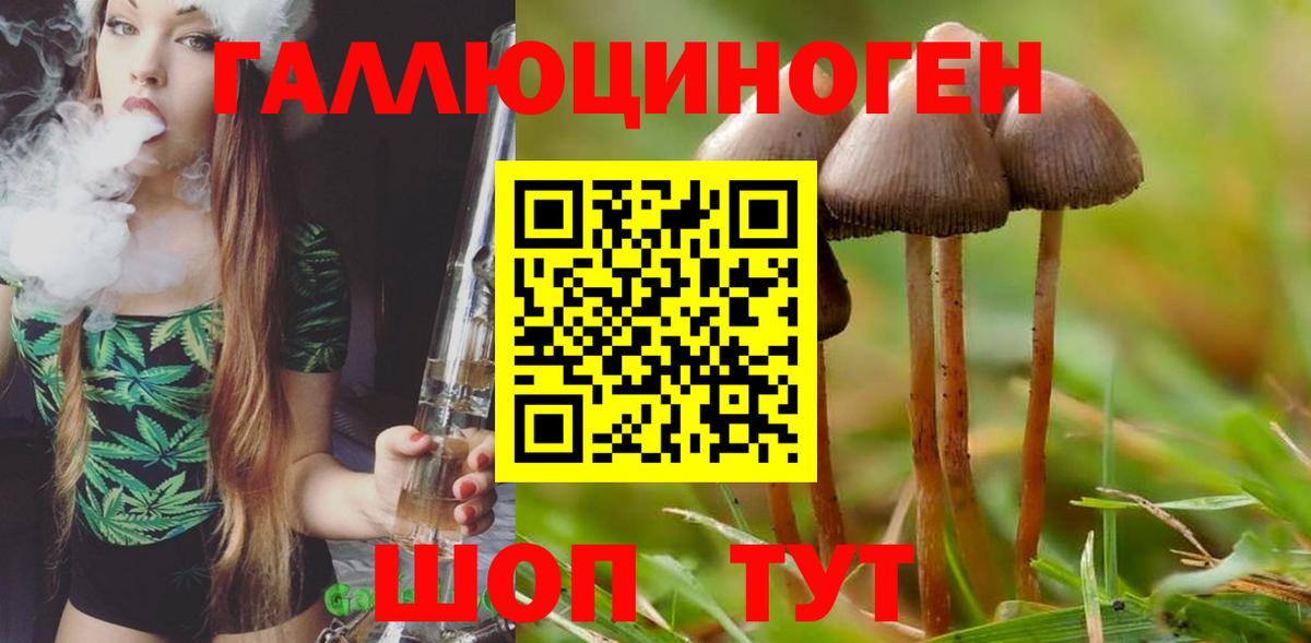 Галлюциногенные грибы мицелий  Абинск 